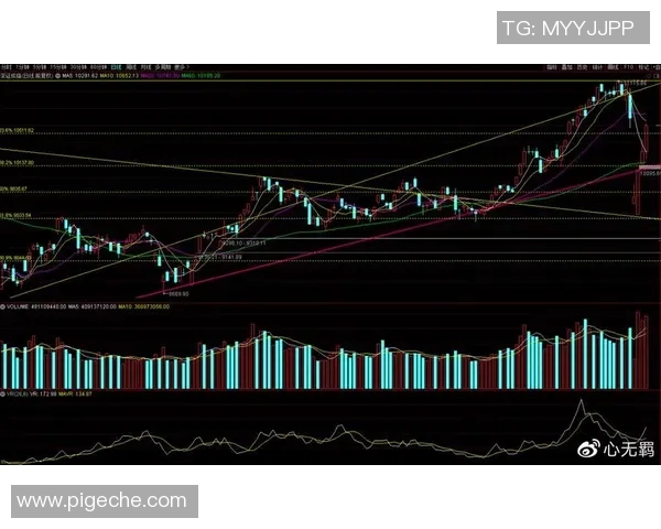 南京网球队与上海网球队赛后复盘分析比赛节奏与战术对比