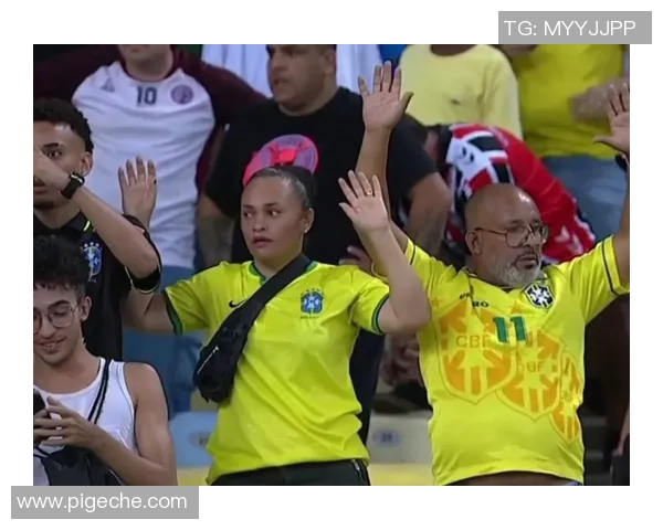 巴西足球赛场爆发群殴事件球员与球迷冲突引发广泛关注